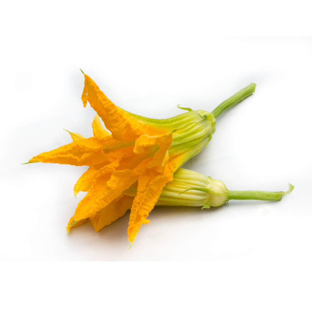 Zucchini flowers