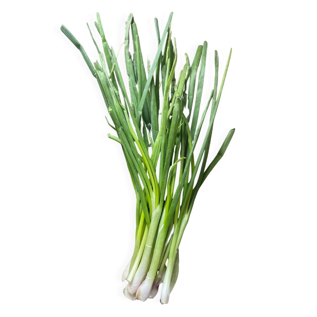 Spring Onion (bunch)