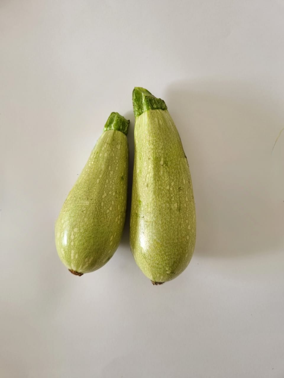 كوسا عضوية