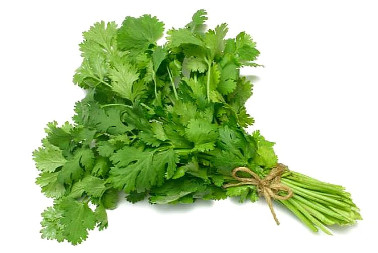 Organic Coriander (Bunch - approx. 100g)