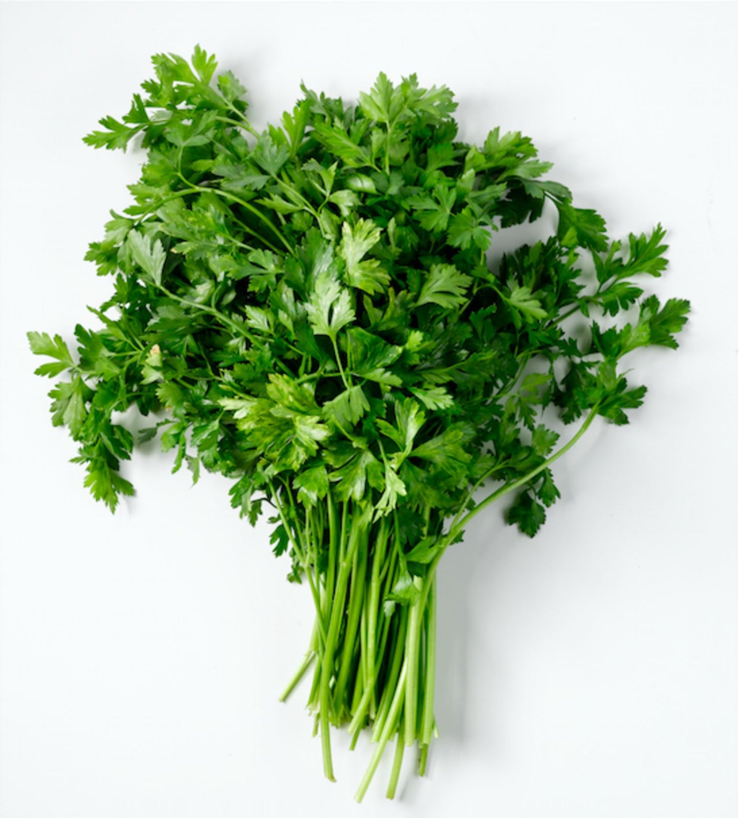 Organic Parsley (Bunch - approx. 100g)