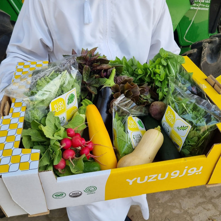 Box Farm Rickinghall Seasonal Boxes