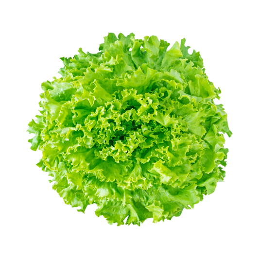 Organic green lettuce (1 head)