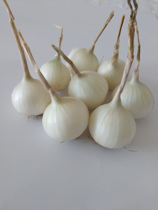 Organic Baby Onions (Bunch - approx 500g)