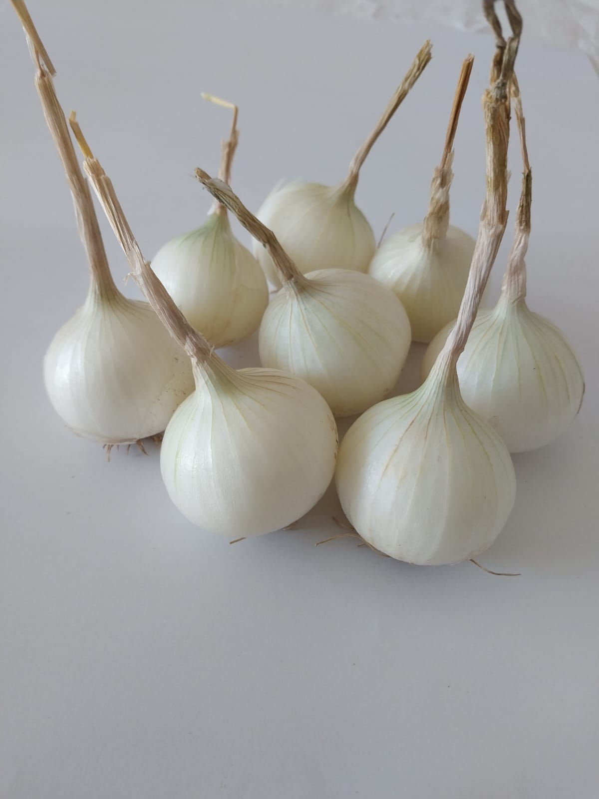 Organic Onions (Bunch - approx 500g)