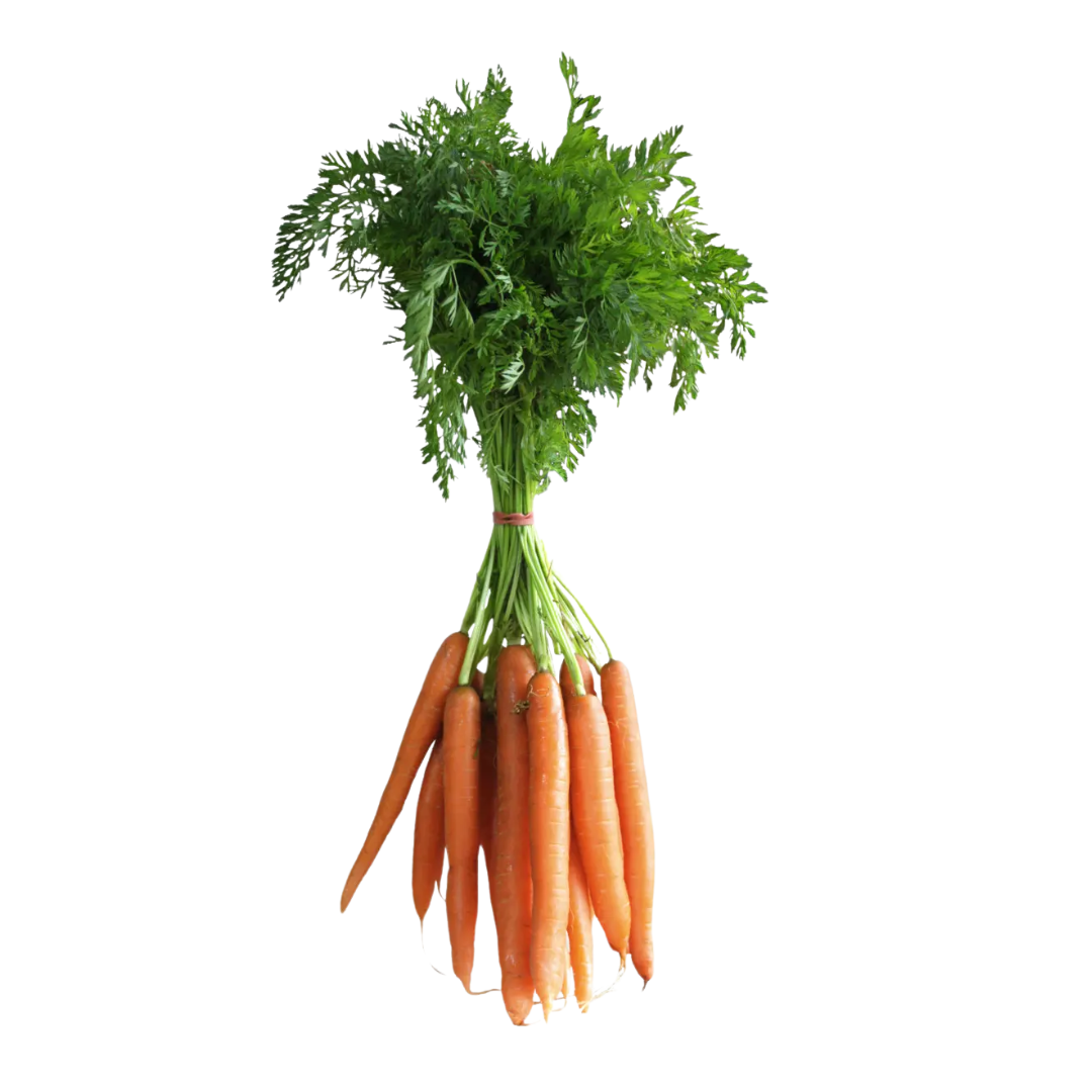 Organic Carrots (Bunch - approx 500g)