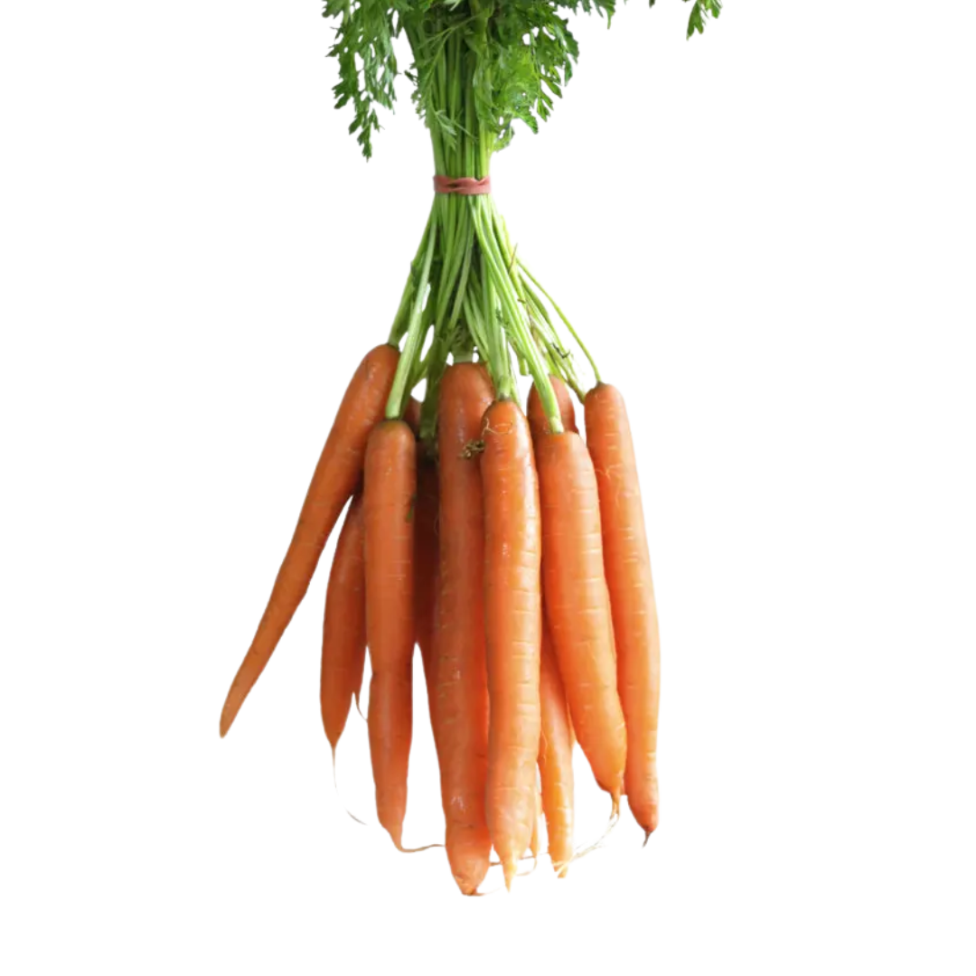 Organic Carrots (Bunch - approx 500g)