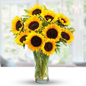 Sunflower & Basil Bouquet - 10 Stem