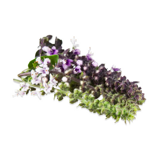 Organic Mixed Basil Flowers