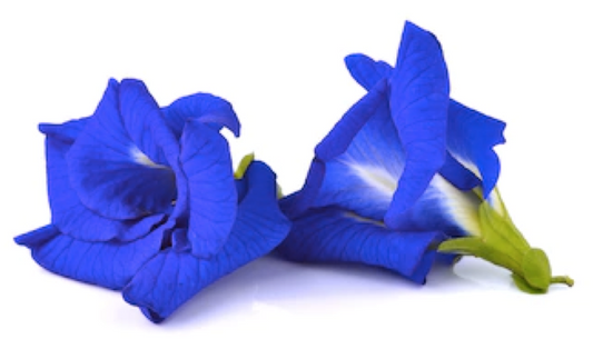 Organic Blue Serene Flowers