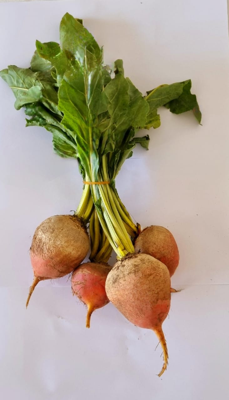 Organic Golden Beetroot (Bunch - approx 500g)