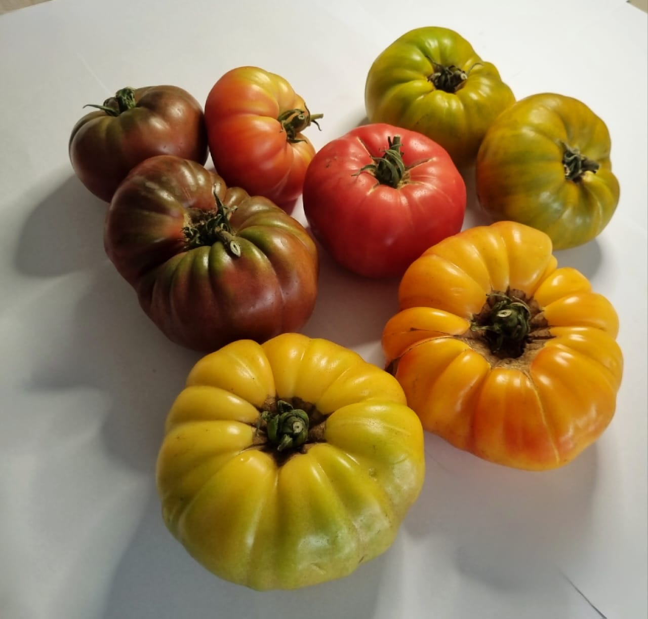 Organic Heirloom Tomatoes - Mixed (500g)